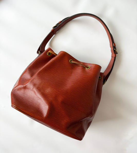 Louis Vuitton Noé Epi